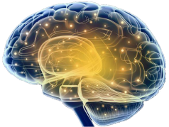 1613982896385.png 圖片 13.png