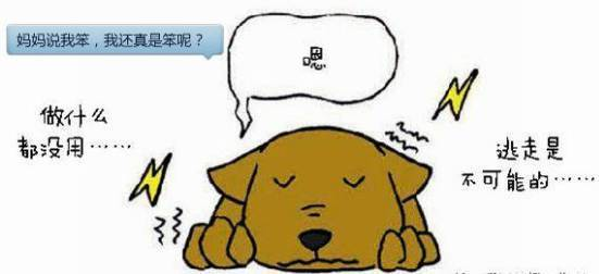 1621905335552.png 圖片2.png